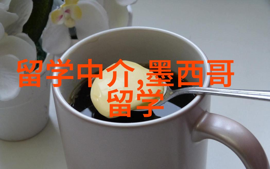 英国留学摄影专业英国留学摄影专业探索艺术与技术的奇妙之旅