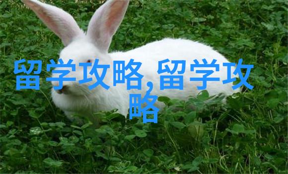 伦敦大学学院2025年秋季入学新增开设的硕士
