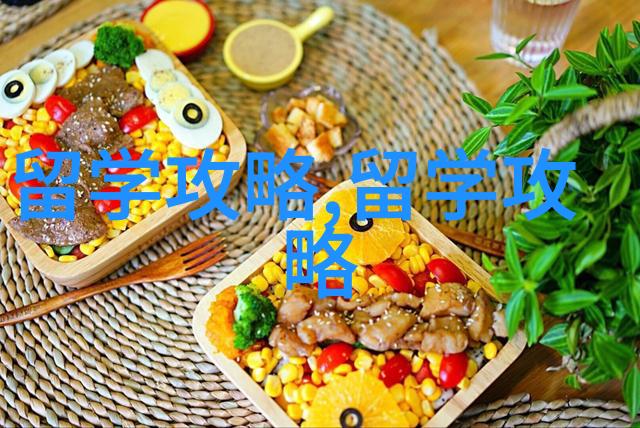 新加坡留学申请条件 现在还建议去吗