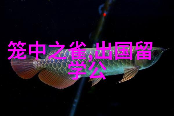 真实的日本留学生活是什么样的呢