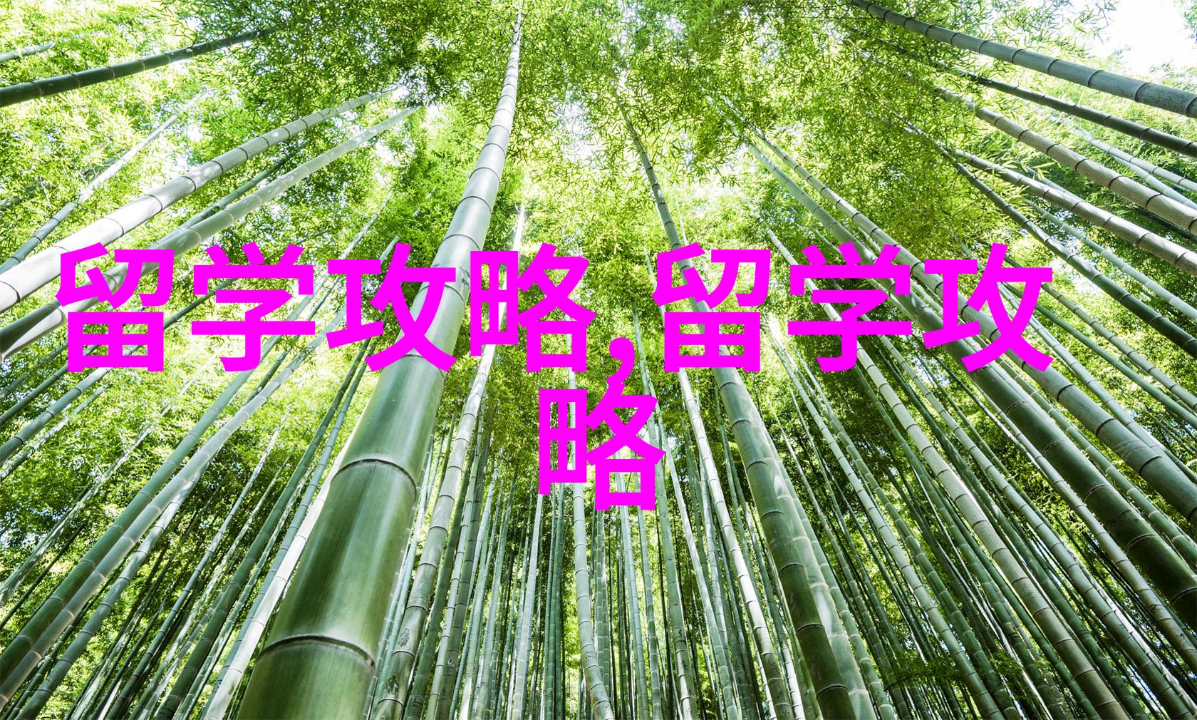 马来西亚翻译专业留学有哪些学校