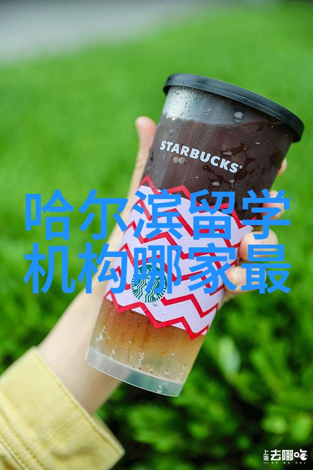 艺术专业留学中介艺术留学中介帮你实现艺术梦想