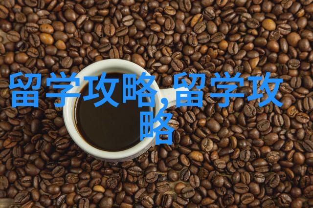 港澳留学解锁2024申请季的独特视角