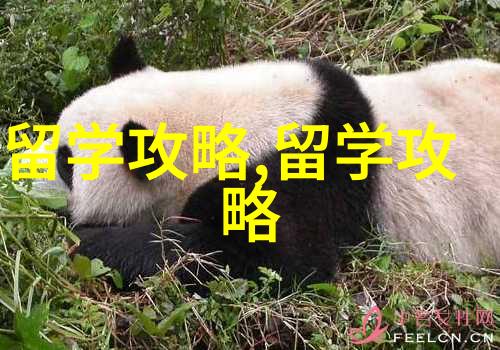 深度解析马来西亚留学生毕业走向
