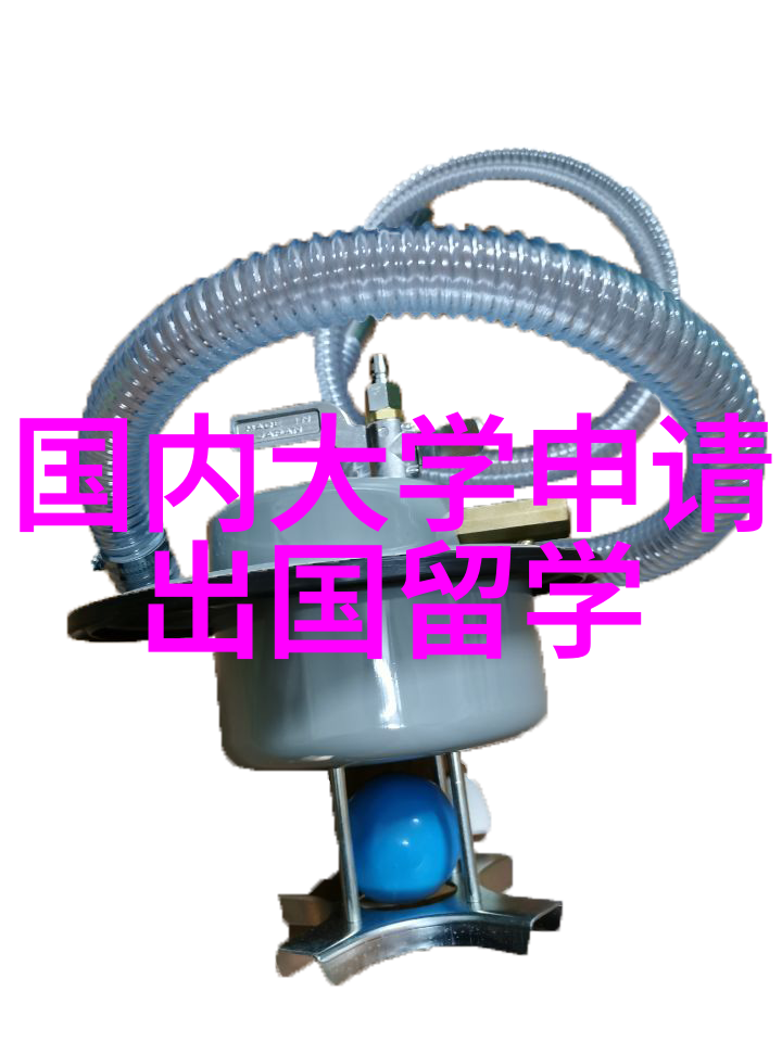 舞蹈专业留学舞蹈专业留学开启艺术之旅跨越国界的舞动梦想