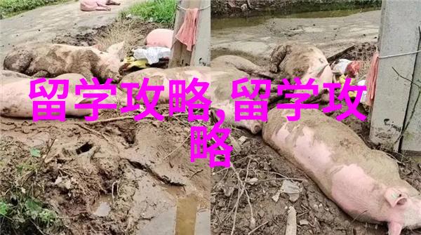 官方发布马来西亚公布签证新规明年1月起实施