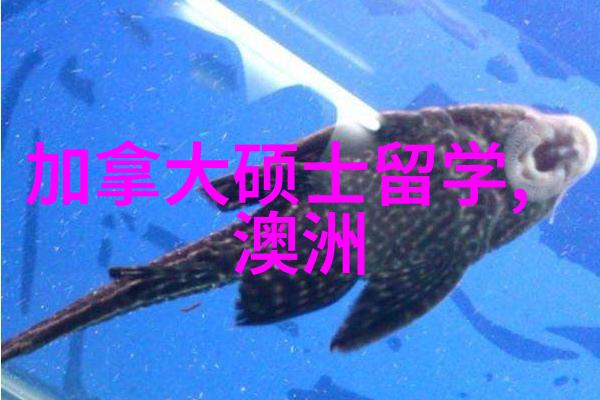 新加坡国立大学2025年秋季入学新增专业更新