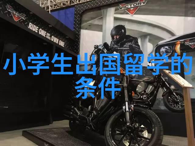 马来西亚留学申请条件具体要求