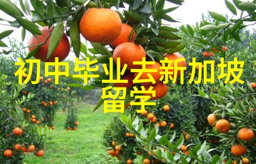 美国留学电影专业探寻电影艺术之路美国留学创造无限可能