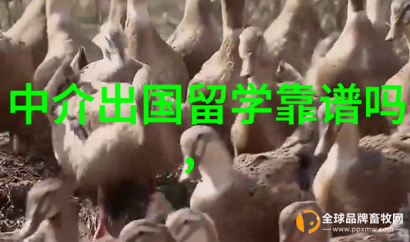 美国舞台设计专业留学美国舞台设计专业留学开启艺术之门